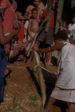 Processing plant into fiber in Papua New Guinea]