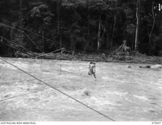 LAE, NEW GUINEA. 1944-08-08. A SAPPER OF THE 20TH FIELD COMPANY, TRANSPORTING TIMBER ACROSS THE BUSU RIVER DURING THE BUILDING OF A NEW BRIDGE. NOTE THAT OVERHEAD WATER PIPES CARRYING WATER TO THE ..