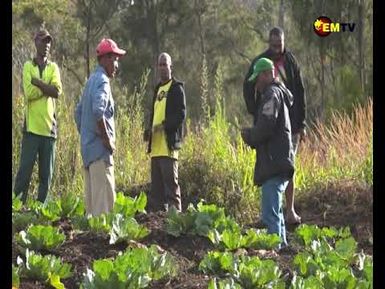 AGRI SECTOR PLAN