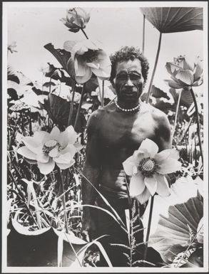 Vaieki, the coxswain, in a field of lotuses on the shores of Lake Murray, Papua New Guinea, ca. 1920s / Frank Hurley