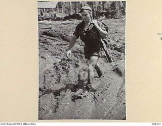 SOUTH BOUGAINVILLE. 1945-07-21. PRIVATE A. O'CONNOR, 24 INFANTRY BATTALION TAKING THE MAIL ALONG THE BUIN ROAD TO THE FIELD POST OFFICE WEST OF THE OGORATA RIVER, FOUND THE GOING A LOT EASIER IN ..