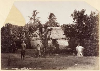 Tongan Village, Neiafu, Vavau