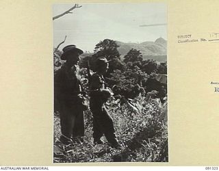 KARAWOP, AITAPE-WEWAK SECTOR, NEW GUINEA. 1945-04-29. GUNNER J. O'MALLEY (1), AND PRIVATE G. BEATTIE (2), 2/2 FIELD REGIMENT TROOPS, ON PATROL WITH A COMPANY, 2/1 INFANTRY BATTALION, LOOKING BACK ..