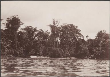 The landing place at Suholo on the island of Ulawa, Solomon Islands, 1906 / J.W. Beattie