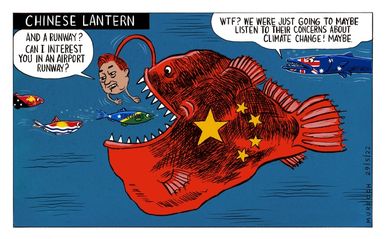Chinese lantern