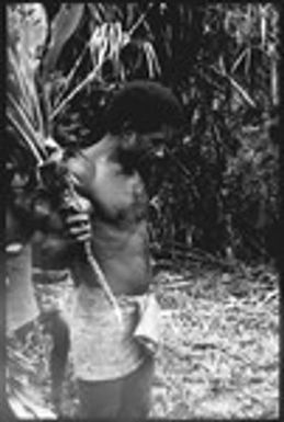 Maenaa'adi with cordyline plant