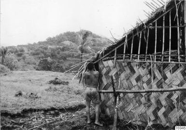 reeds, bamboo, building, building, photography, ph