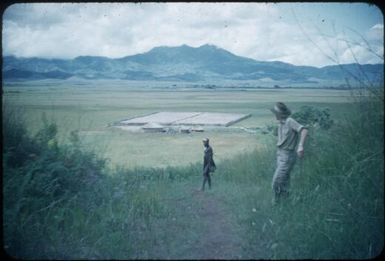 Near Aviamp, looking across first coffee plantation established in the Waghi Valley : Waghi Valley, Papua New Guinea, 1954 / Terence and Margaret Spencer