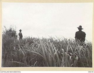 WIRUI MISSION, WEWAK AREA, NEW GUINEA, 1945-09-07. THE TWO FIGURES IN THIS PICTURE INDICATE THE POSITION OF SECTION NO.5, NO.8 PLATOON, 2/4 INFANTRY BATTALION, IN RELATION TO THE JAPANESE WEAPON ..