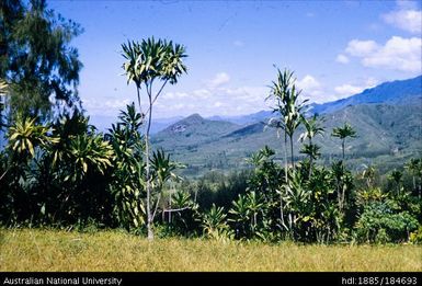 Goroka - Chimbu, Miruma (Upper Asaro Valley)