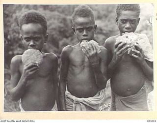 MOROKAIMORO, BOUGAINVILLE, 1945-06-05. PICCANINNIES EATING WHEATMEAL CAKES. THE RATIONS HAVE BEEN SUPPLIED BY ANGAU. THE NATIVES, EVACUATED FROM ENEMY AREAS, ASSIST GREATLY BY SCOUTING AND LOCATING ..