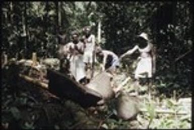 Men in forest with petroglyph carvings