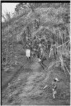 Pig festival, singsing preparations: men use stakes and cordyline to expel enemy spirits from path which allies must travel