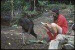 Cassowary being fed by Susan Pflanz Cook