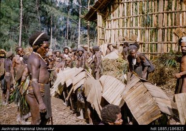 People covered by large leaves