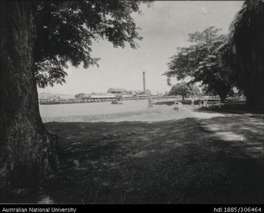 Cane train and mill viewed from a distance