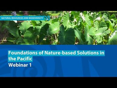 Webinar 1 Foundations of Nature-based Solutions in the Pacific