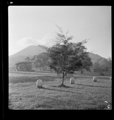 Hotel grounds, Rabaul, New Britain, Papua New Guinea