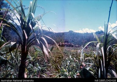 Group in traditional dress