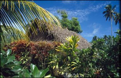 Flax roof, Aitutaki