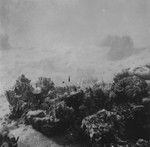 Underwater reef near Alexa Bank, Samoa