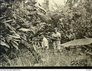 TOROKINA, BOUGAINVILLE ISLAND, SOLOMON ISLANDS. C. 1945-02-23. RAAF GUARDS MOVE ALONG A CREEK BED DURING JUNGLE TRAINING IN THE TOROKINA AREA. LEFT TO RIGHT: 24008 FLIGHT SERGEANT K. W. BROWN, ..