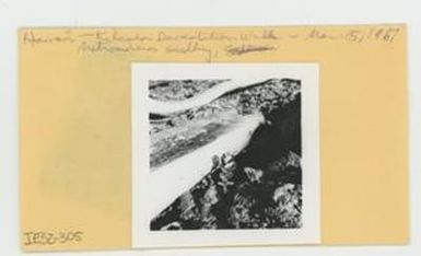 [Metrosideros in Hawaii, envelope IE32-305]