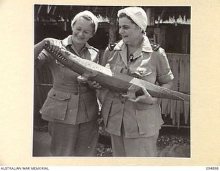 CAPE WOM, WEWAK AREA, NEW GUINEA. 1945-08-02. SISTER S.P. MARTIN (1) AND SISTER S.B.M. BOWMAN (2), WITH A MASCOT BELONGING TO THE SISTERS' MESS, 104 CASUALTY CLEARING STATION. THE CARVED CROCODILE ..