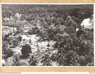 FINSCHHAFEN AREA, NEW GUINEA. 1943-12-05. AERIAL PHOTOGRAPH OF THE AREA WHERE THE HEAVIEST FIGHTING OCCURRED PRIOR TO ITS CAPTURE BY THE AUSTRALIAN TROOPS