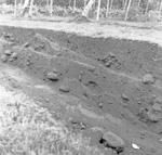 Looking west, north wall, bulldozer cutting detail.