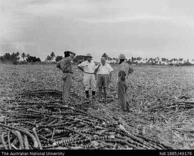 Field officers discuss the cane cutting program with Indian sirdars, Wainibokasi, Nausori