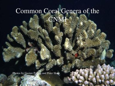 Common coral genera of the CNMI