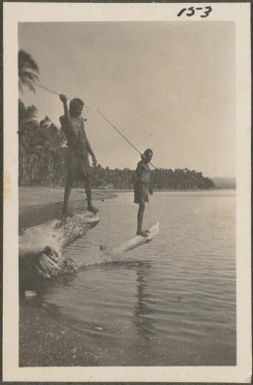 Two men spearing fish, New Britain Island, Papua New Guinea, probably 1916