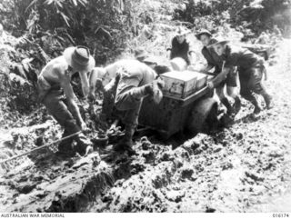 Finschhafen Area, New Guinea. 1943-09. Jeeps with heavily laden trailers of supplies in boxes and tins move up the steep boggy track from Finschhafen to Sattelberg