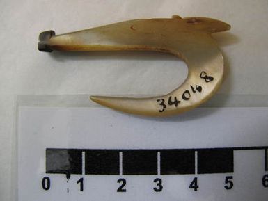 fish hook