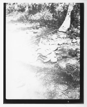 [Deceased Individual and Debris on Guadalcanal]