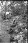 Pig festival, pig sacrifice, Tsembaga: people prepare foods, observed by Marek and Allison Jablonko and Ann Rappaport