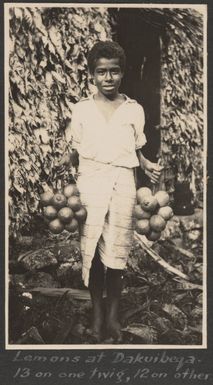 Lemons at Dakuibeqa, May 1929