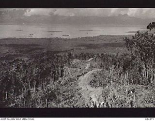 MILNE BAY, NEW GUINEA, 1943-07-11. LOOKING DOWN HILL STATION ROAD (MAPO ROAD) TOWARDS GILI GILI. THIS ROAD WAS CONSTRUCTED BY THE "D" COMPANY, 2/1ST PIONEER BATTALION. IT WAS STARTED 1943-02 AND ..