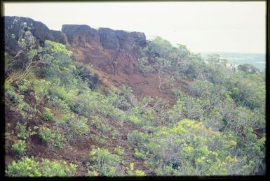 Habitat