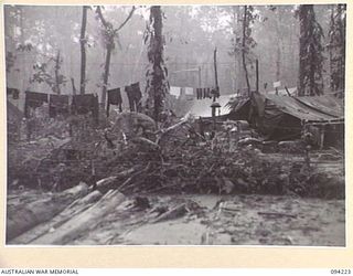 SOUTH BOUGAINVILLE, 1945-07-20. THE 47 INFANTRY BATTALION CAMP AREA, TYPICAL OF CAMP SITES OF FORWARD BATTALIONS OPERATING EAST OF THE OGORATA RIVER. RAINFALL FOR THE MONTH REACHED 20 INCHES AND ..