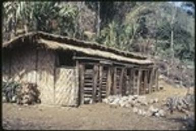 Pig house at Kwiop Duwai, built as part of government project, intended to house a boar to improve local breeding stock