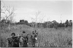 Aiome area: carriers in kunai grassland between Tabouta and Jamenke