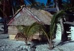 Anthropologist's house on reclamation behind hospital