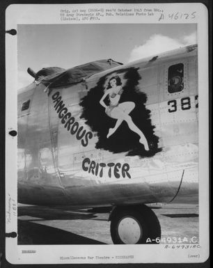 The Consolidated B-24 "Liberator," 'Dangerous Critter' Of The 11Th Bomb Group, Based On Guam, Marianas Islands. 4 May 1945. (U.S. Air Force Number A64931AC)