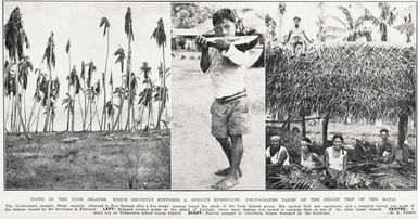 Views in the Cook Islands, which recently suffered a serious hurricane: photographs taken on the relief trip of the Matai