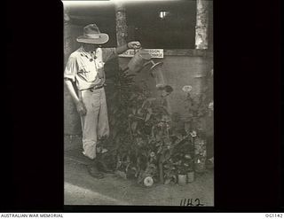 NADZAB, NEW GUINEA. 1944-05-09. 60705 SERGEANT E. R. BARRACLOUGH OF HURLSTONE PARK, NSW, OUTSIDE THE ORDERLY ROOM AT NO. 23 MEDICAL CLEARING STATION RAAF, WATERING ZINNIAS GROWN FROM SEED SENT FROM ..