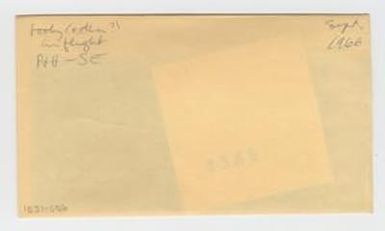 [Booby in Hawaii, envelope IE31-056]