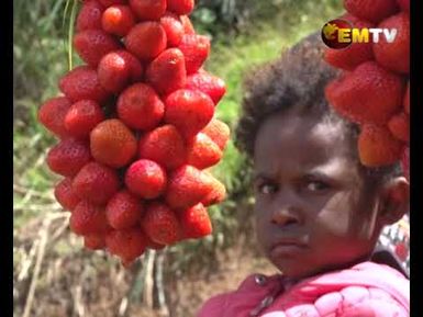 Market for Village Farmers Project