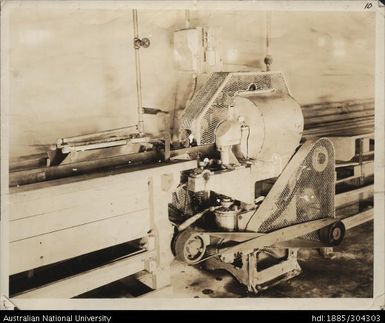 Pineapple slicing machine